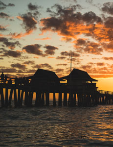 APF 1 231x300 3