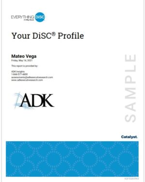 Your DiSC Profile Catalyst