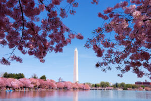 Washington DC 1
