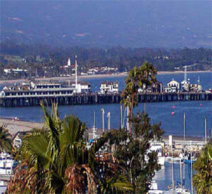 Coastal marina with palm trees and pier