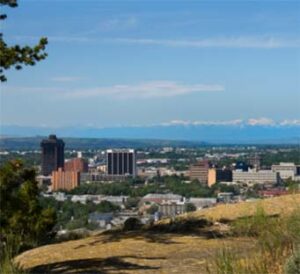City skyline seen from grassy hilltop