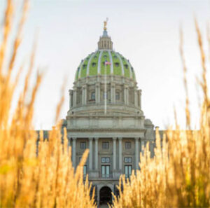 Capitol dome framed by golden ornamental grasses