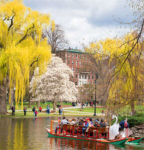 Park swan boat on springtime flower pond