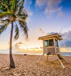 Lifeguard tower and palm tree on beach