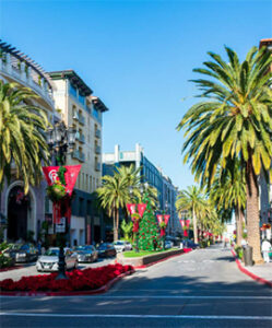 Sunlit palm-lined shopping boulevard with holiday decor