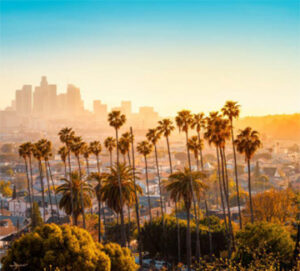 Sunlit palm trees framing distant city skyline